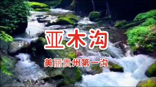 全民剧本大师内置菜单