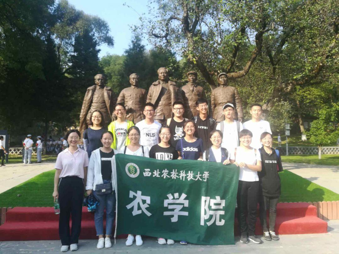 逃出上锁的现代房间6